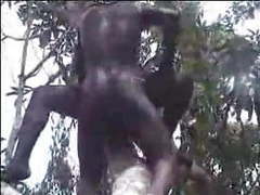 KiloPanties presents: African amateur fuck on the tree